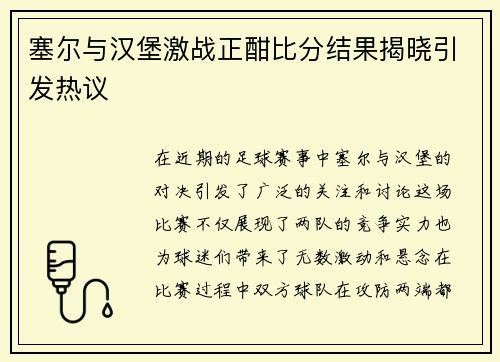 塞尔与汉堡激战正酣比分结果揭晓引发热议